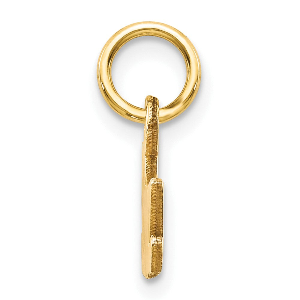 10K Satin Diamond-cut NANA Charm