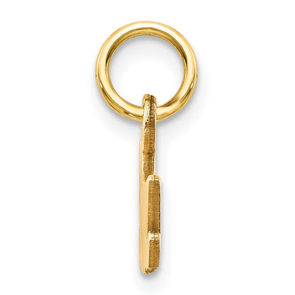 10K Satin Diamond-cut NANA Charm