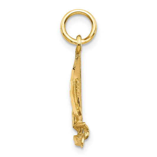 10k Sailboat Charm