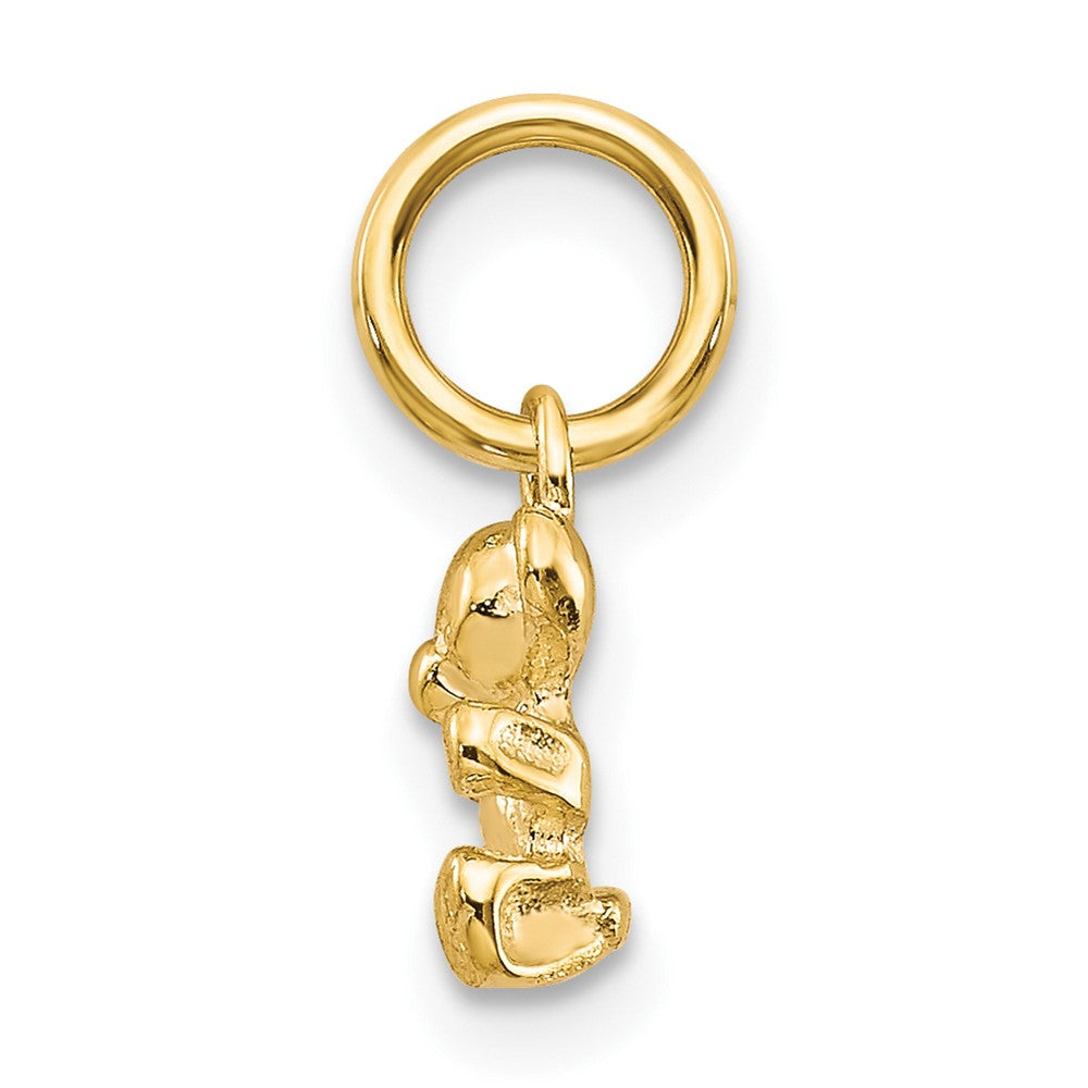 10k 3-D Teddy Bear Charm