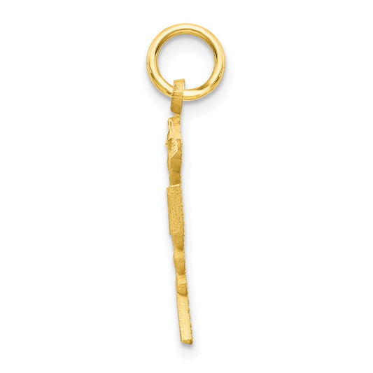 10k Solid Registered Nurse RN Charm
