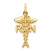 10k Solid Registered Nurse RN Charm