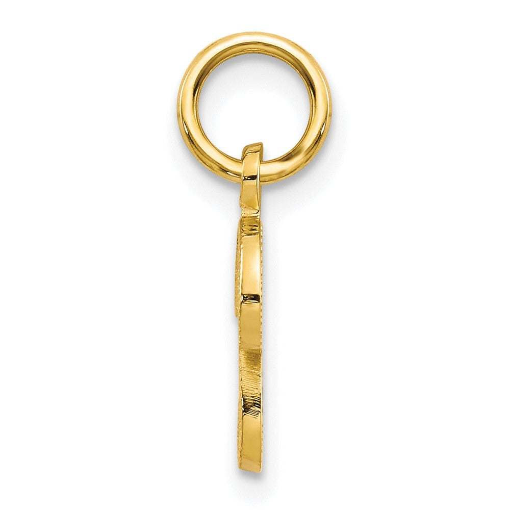 10k Small Script Initial P Charm