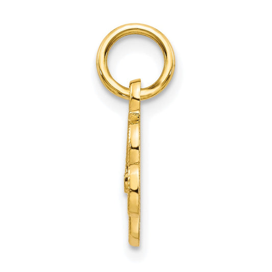 10k Small Script Initial R Charm