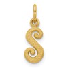 10k Small Script Initial S Charm