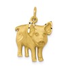 10k Satin Diamond-cut Pig Charm