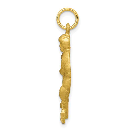 10K Satin Diamond-cut Hockey Player Charm
