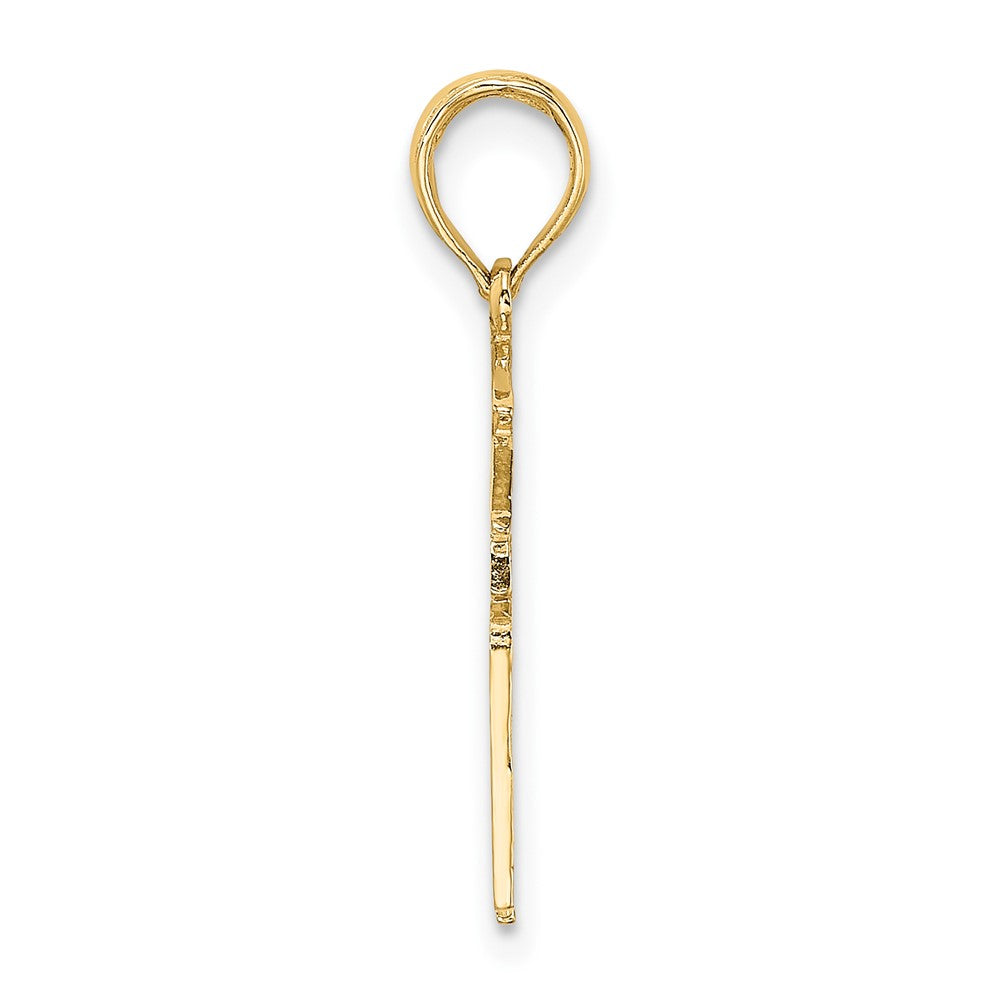 10k Registered NURSE RN Charm