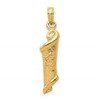 10k Torah with Star of David Pendant
