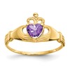 10k CZ February Purple Birthstone Claddagh Heart Ring