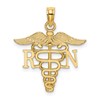 10K RN Caduceus Pendant