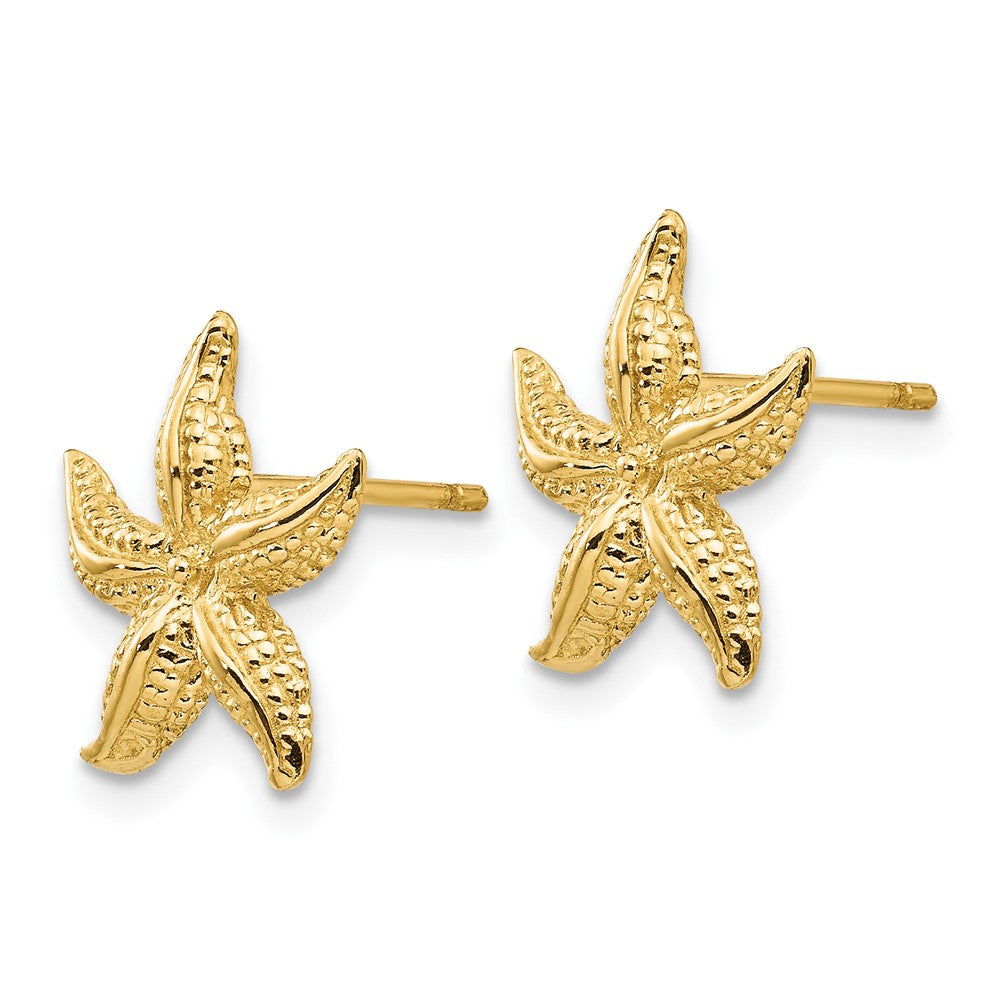 10k Starfish Post Earrings