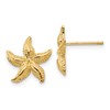 10k Starfish Post Earrings