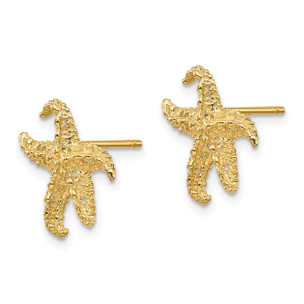 10k Textured Starfish Post Earrings
