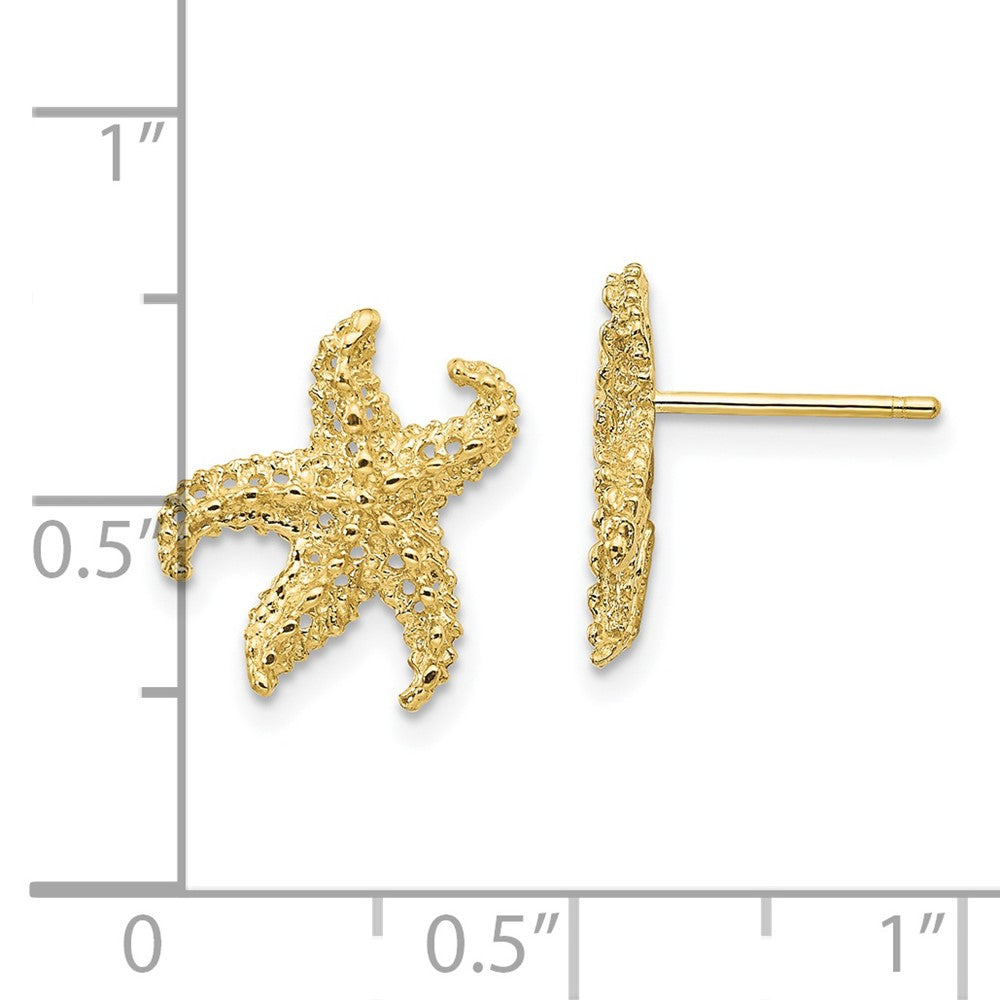 10k Textured Starfish Post Earrings