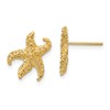 10k Textured Starfish Post Earrings