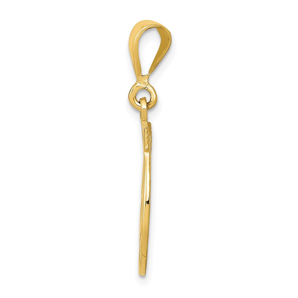 10k Good Luck Horseshoe and Clover Pendant