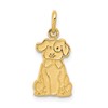 10k Puppy Dog Charm