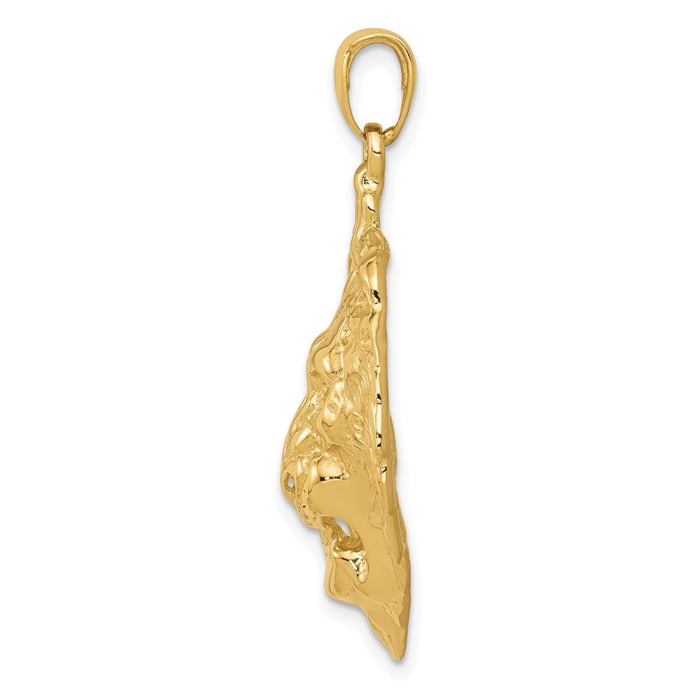 10K Large Lion Head Pendant