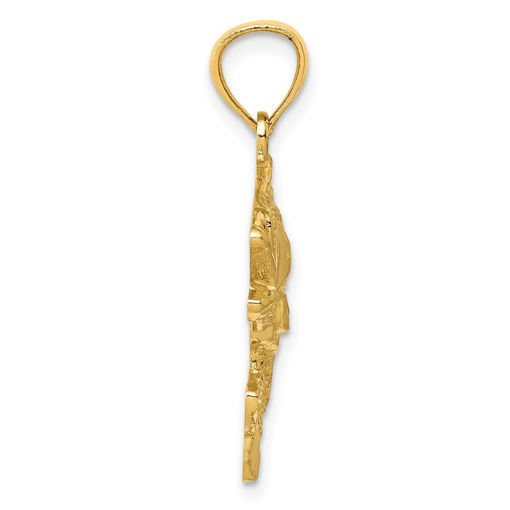 10k Polished and Textured Bass Fish Pendant