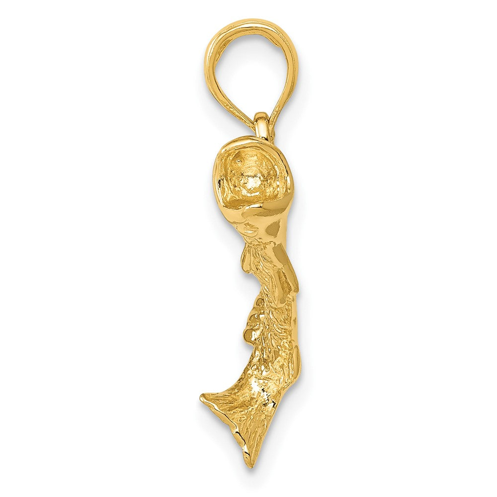 10k Polished and Textured Bass Fish Pendant