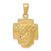 10K Polished 2-D Small Jesus Head with Crown of Thorns Pendant