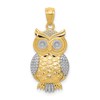 10K and White Rhodium Polished and Textured Owl Pendant