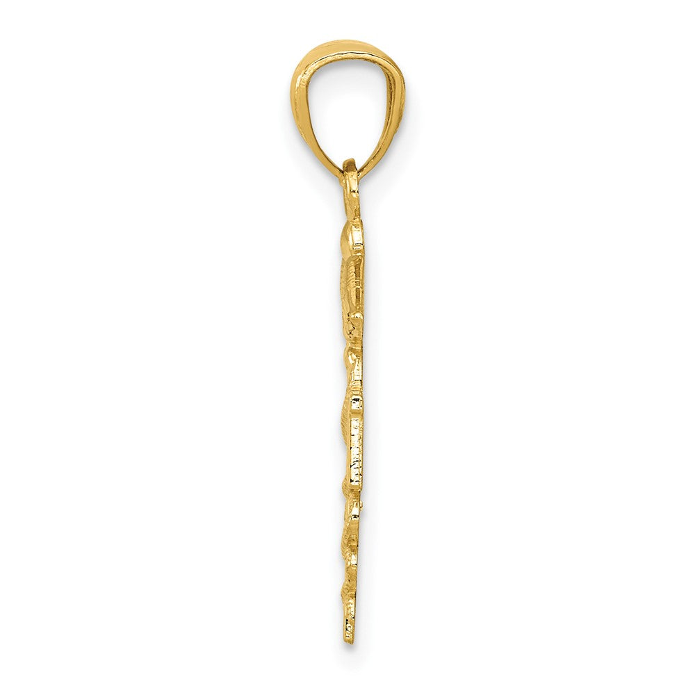 10k Diamond-cut Polished RN Nurse Caduceus Pendant