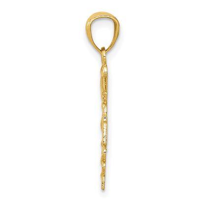 10k Diamond-cut Polished RN Nurse Caduceus Pendant