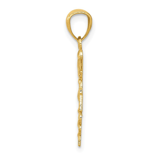 10k Diamond-cut Polished RN Nurse Caduceus Pendant
