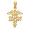 10k Diamond-cut Polished RN Nurse Caduceus Pendant