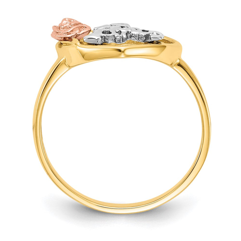 10K Two-tone and White Rhodium 15 ANOS Ring