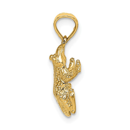 10k Textured Top View Frog Charm