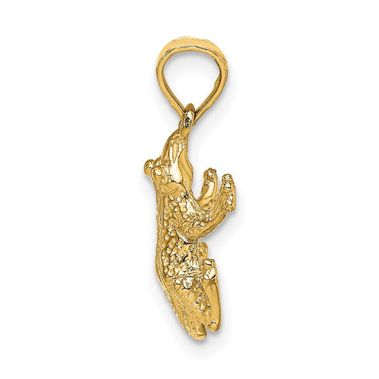 10k Textured Top View Frog Charm