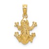 10k Textured Top View Frog Charm