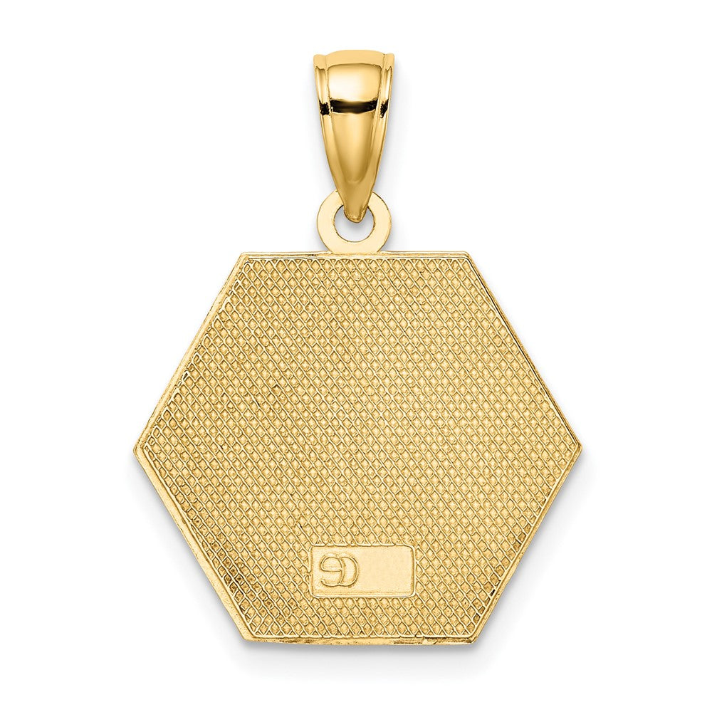 10k Red Enameled Medical Symbol 16x18mm Hexagon Disc Pendant