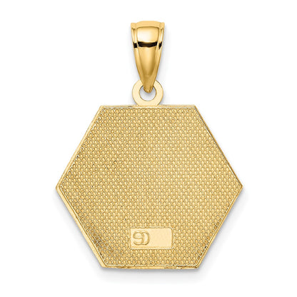 10k Red Enameled Medical Symbol 16x18mm Hexagon Disc Pendant