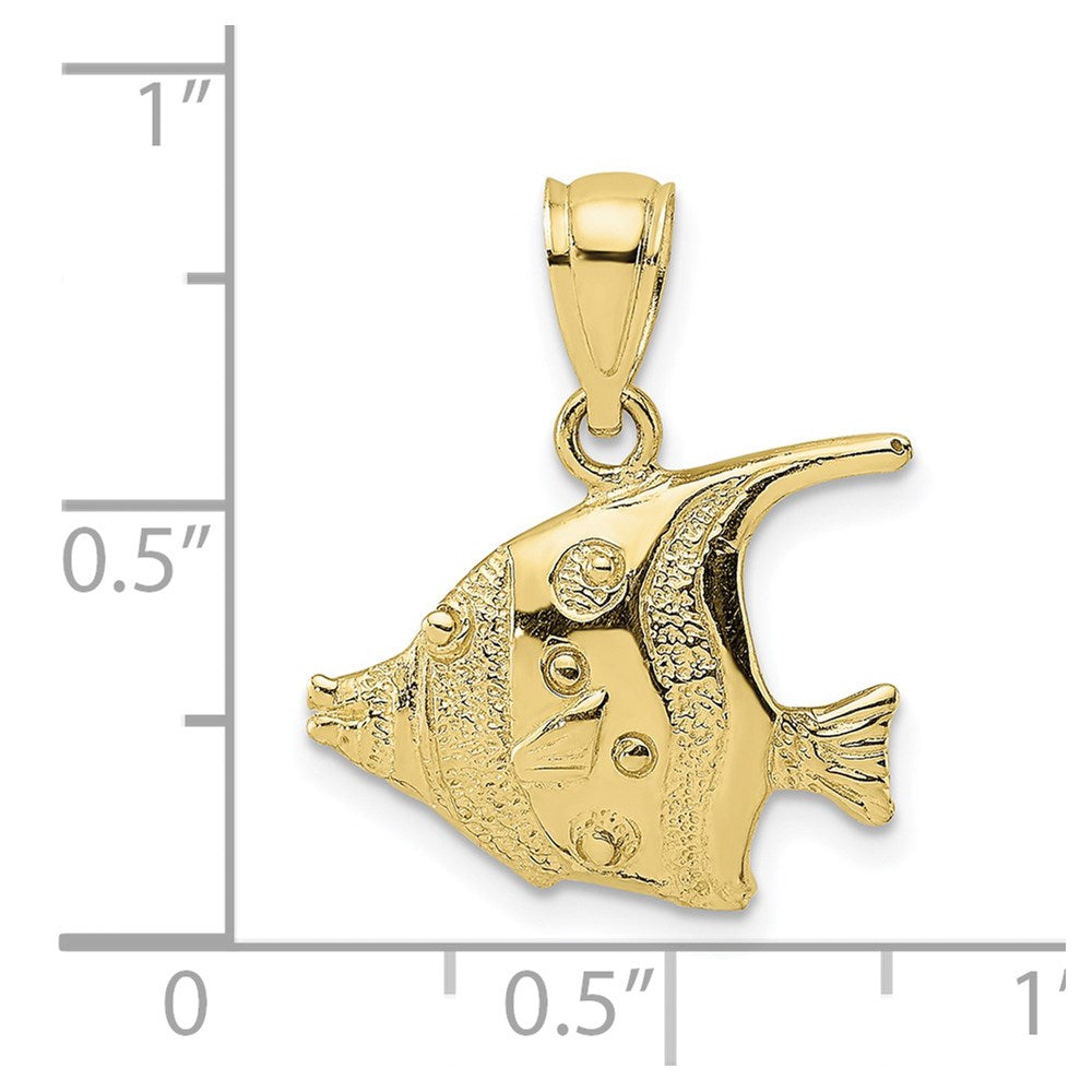 10k Polished Banner Fish Charm