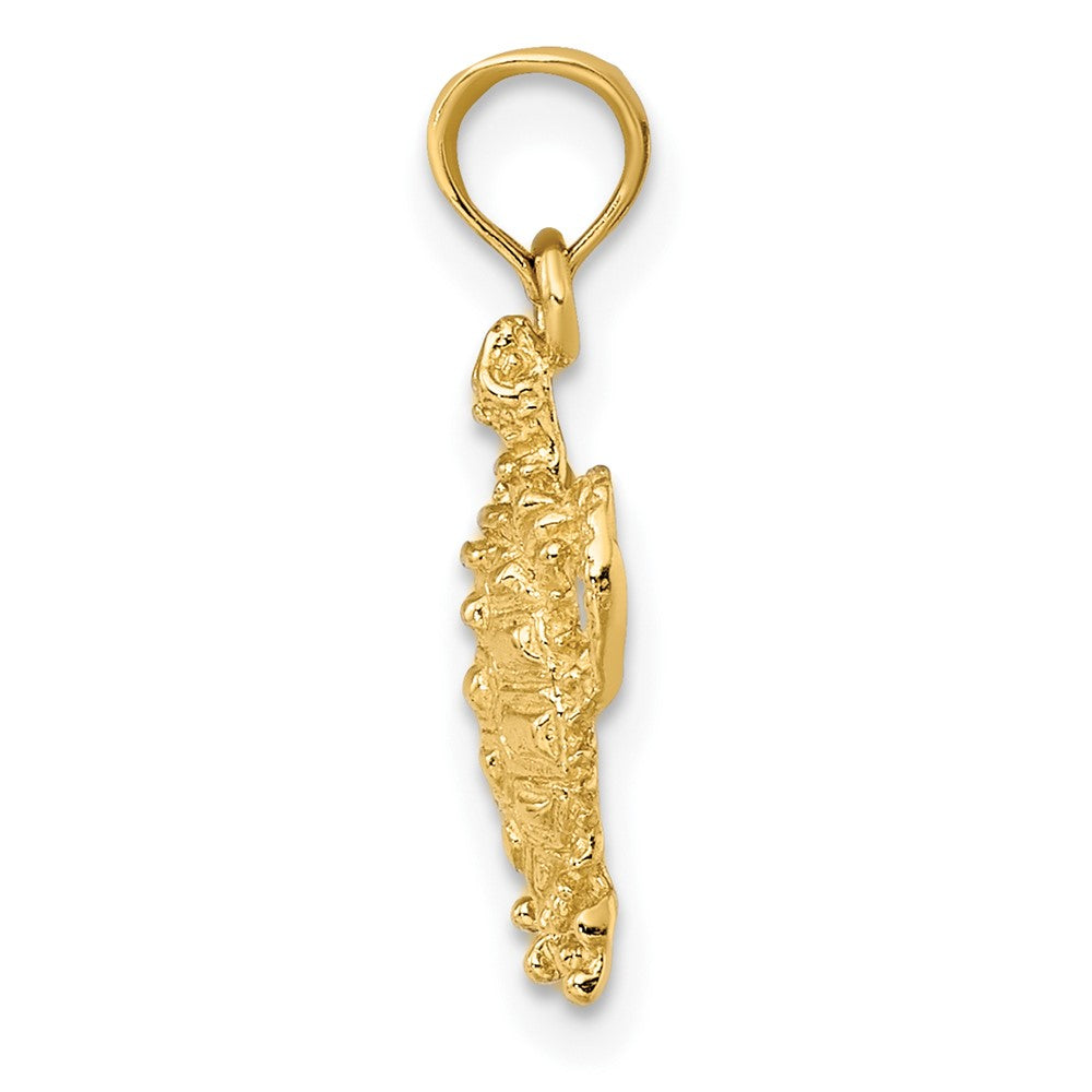 10K 2-D Sea Turtle with Spiny Shell Charm