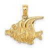 10K Polished Engraved Banner Fish Charm