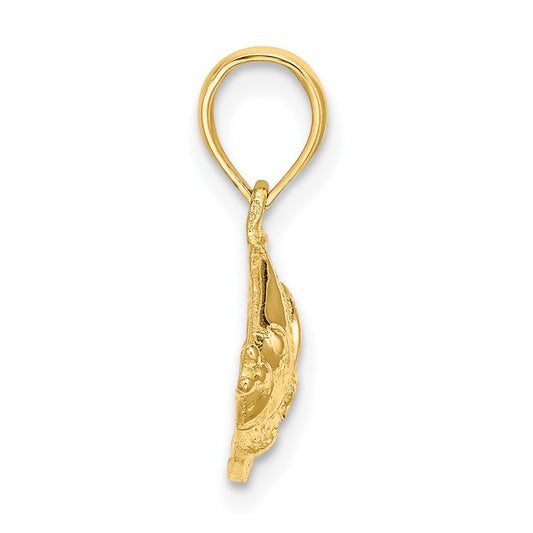 10K Polished Textured Banner Fish Charm