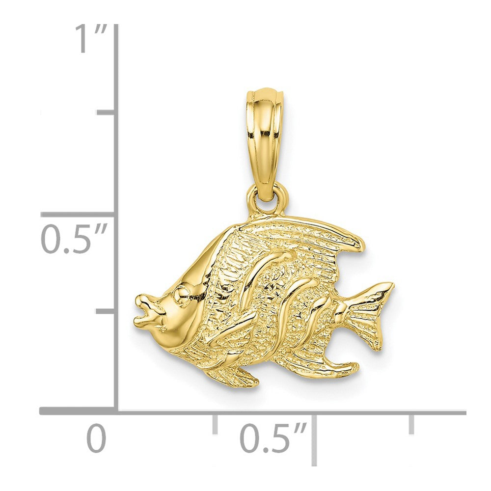 10K Polished Textured Banner Fish Charm
