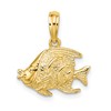 10K Polished Textured Banner Fish Charm