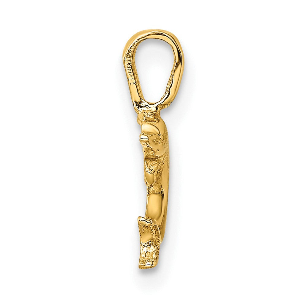10K Mini Jumping Dolphin with Fixed Bail Charm