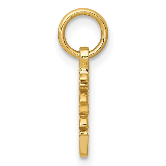 10k Solid Polished Chinese Symbol Long Life Charm