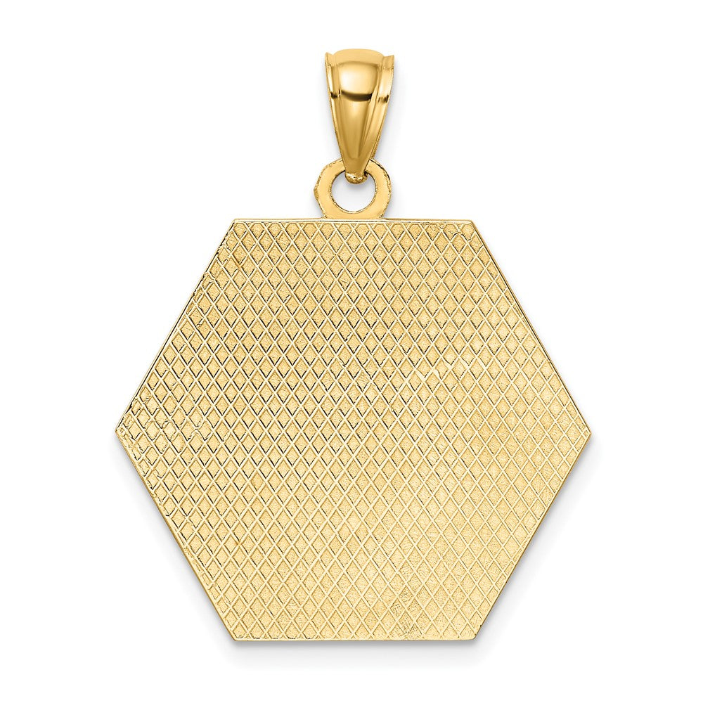 10k Medical Symbol 22x24mm Hexagon Disc Pendant