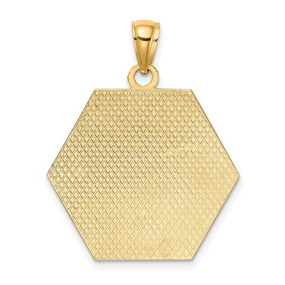 10k Medical Symbol 22x24mm Hexagon Disc Pendant
