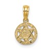10K Small Textured Star Of David Charm