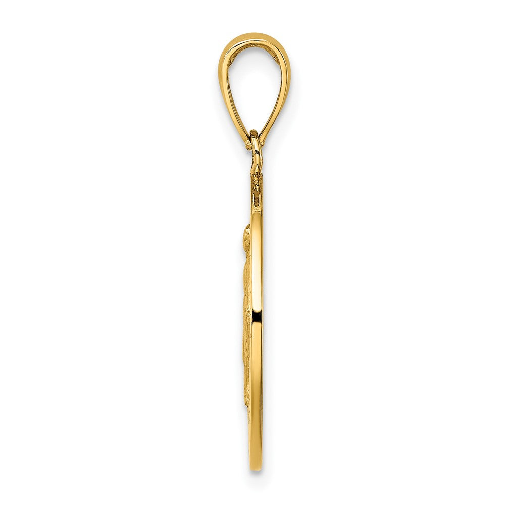 10K Polished and Satin Round Miraculous Medal Charm