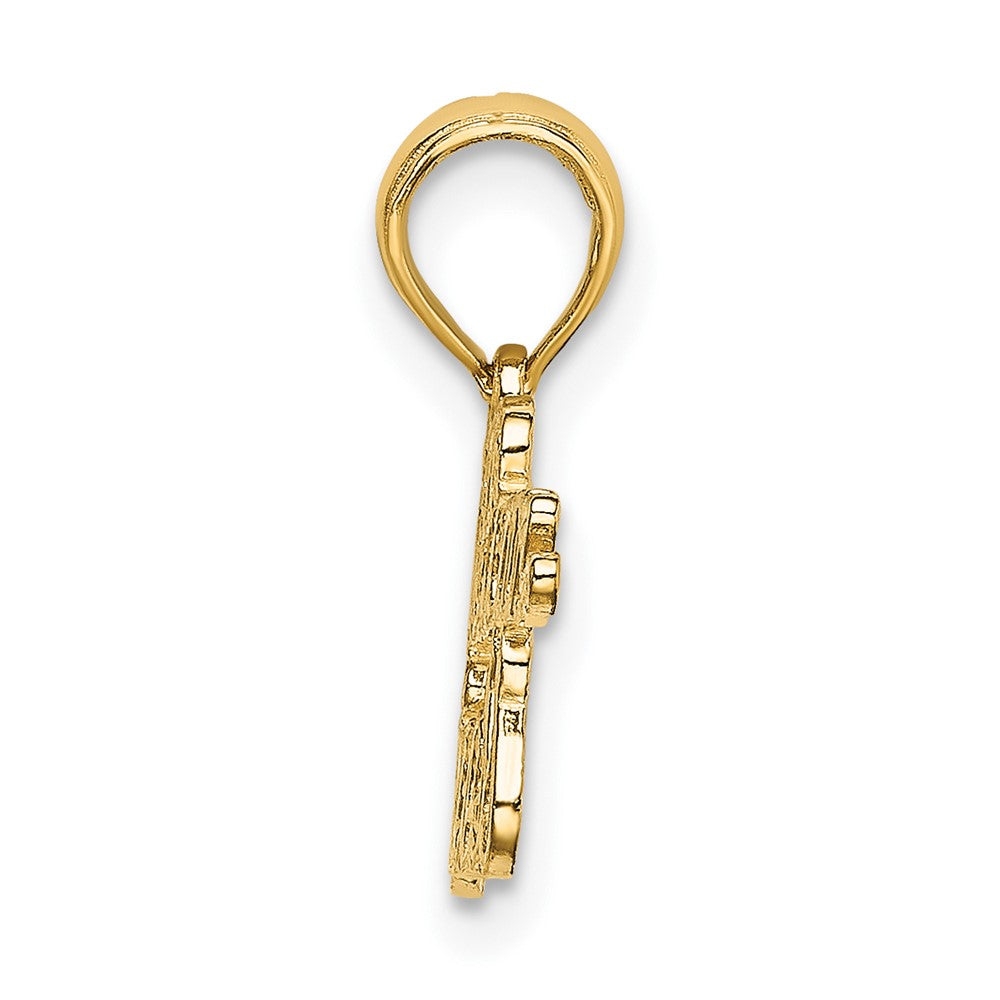 10K PUERTO RICAN PRINCESS Script Charm
